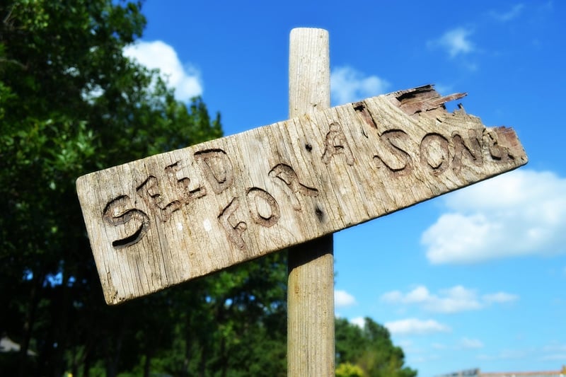 Trading Seeds