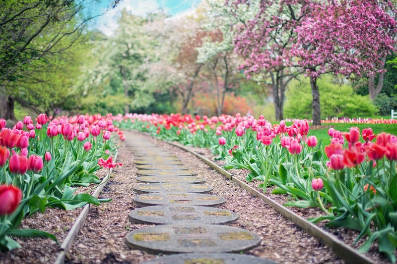 Magical Pathways